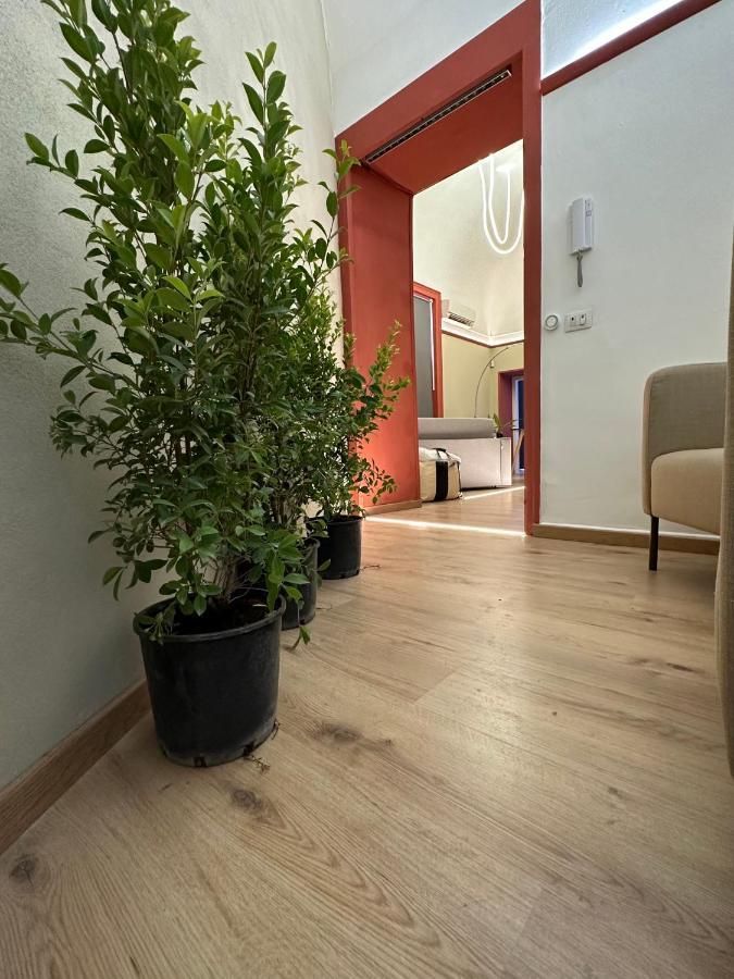 Apartamento Beauty Aparment By Eureka CTA Exterior foto